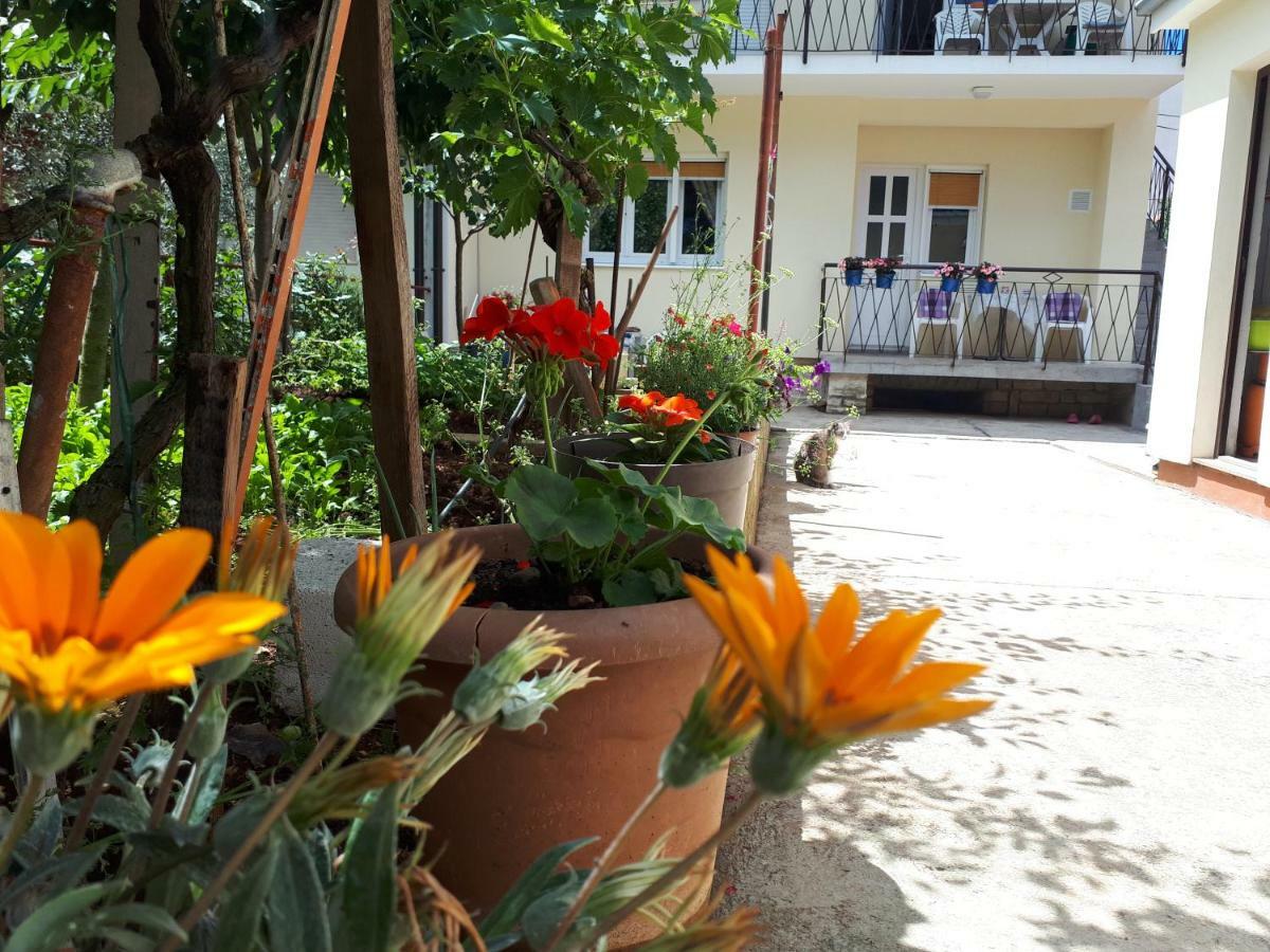 Apartments Marija Zadar Eksteriør billede